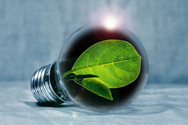 Has Going Green become a  hot new career path?